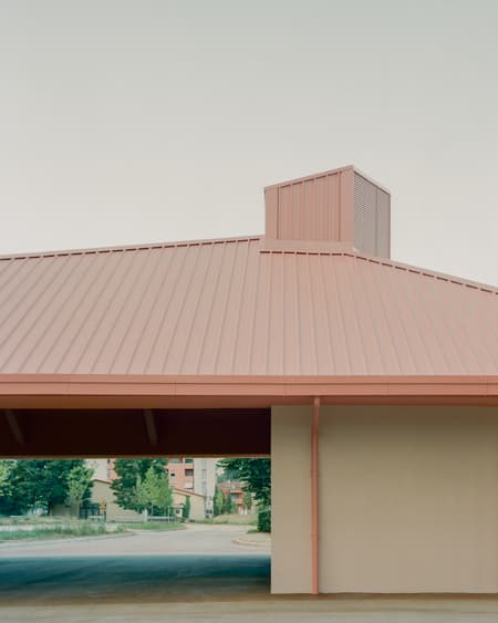Under the Pink Roof